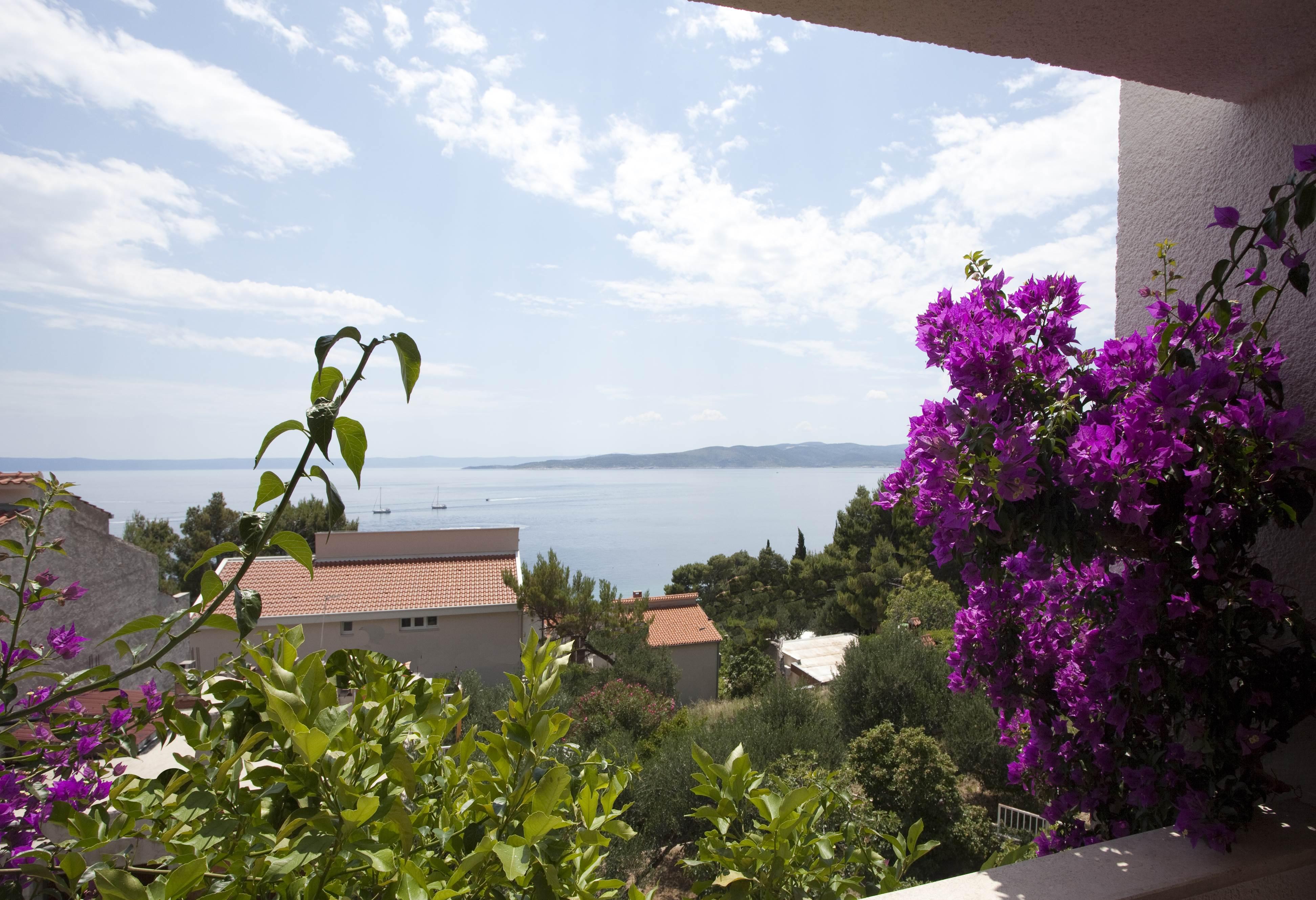 Villa Skalinada, 8 Persons, Private Pool, Башка-Вода Екстер'єр фото
